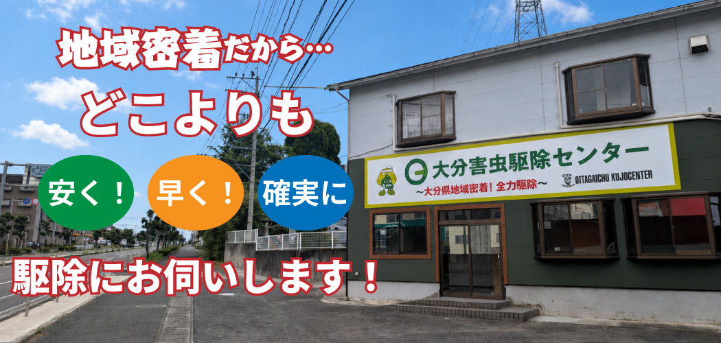 大分害虫駆除センター