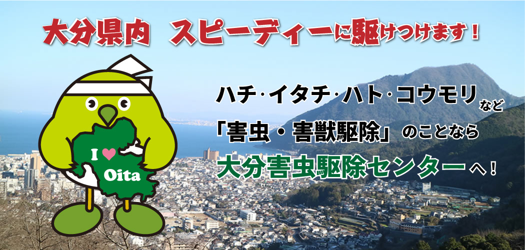 大分害虫駆除センター