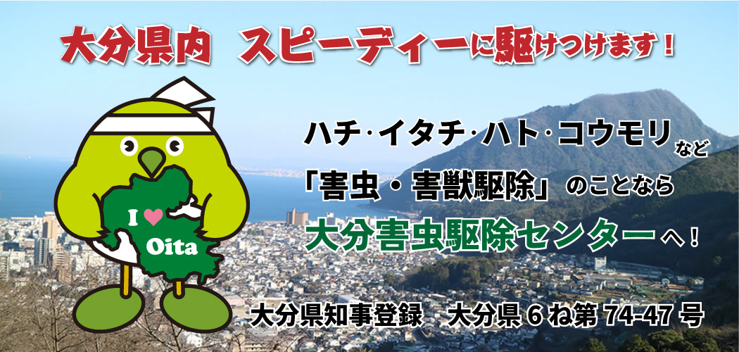 大分害虫駆除センター